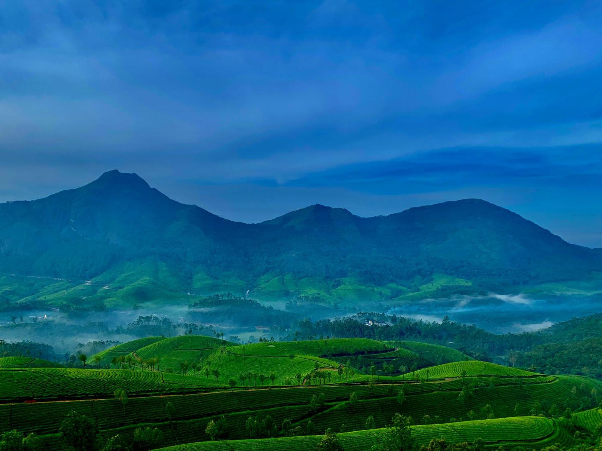 Lockhart Bungalow Munnar - A Cgh Earth Saha Experience 외부 사진