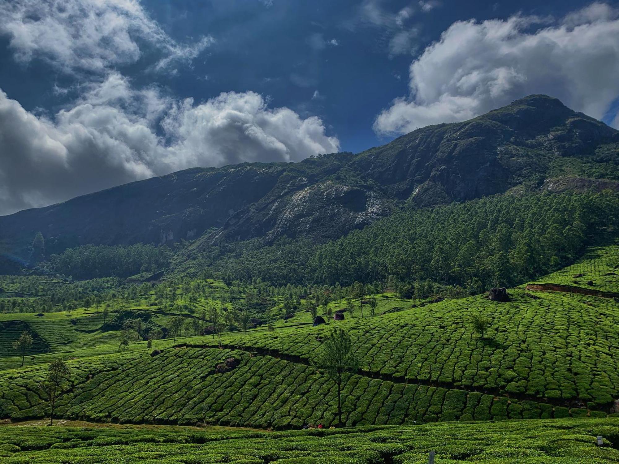 Lockhart Bungalow Munnar - A Cgh Earth Saha Experience 외부 사진