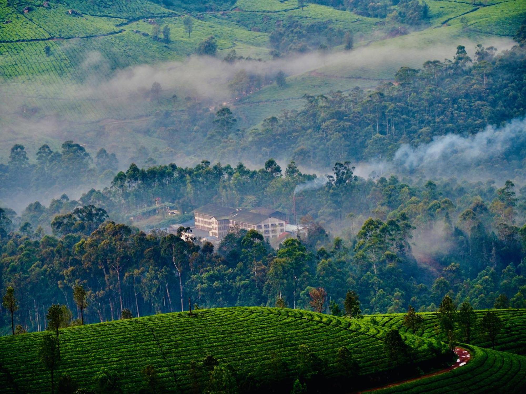 Lockhart Bungalow Munnar - A Cgh Earth Saha Experience 외부 사진