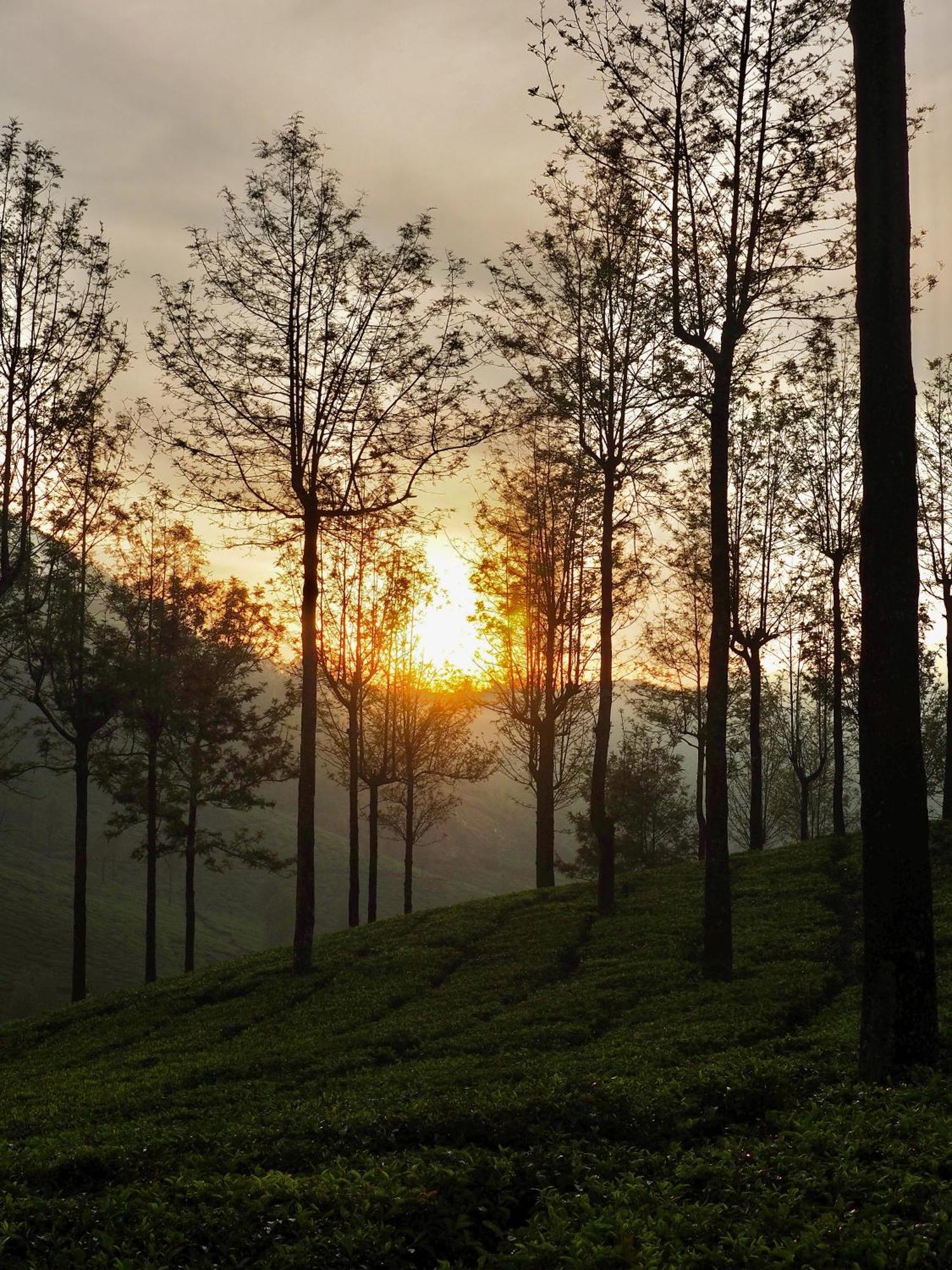 Lockhart Bungalow Munnar - A Cgh Earth Saha Experience 외부 사진