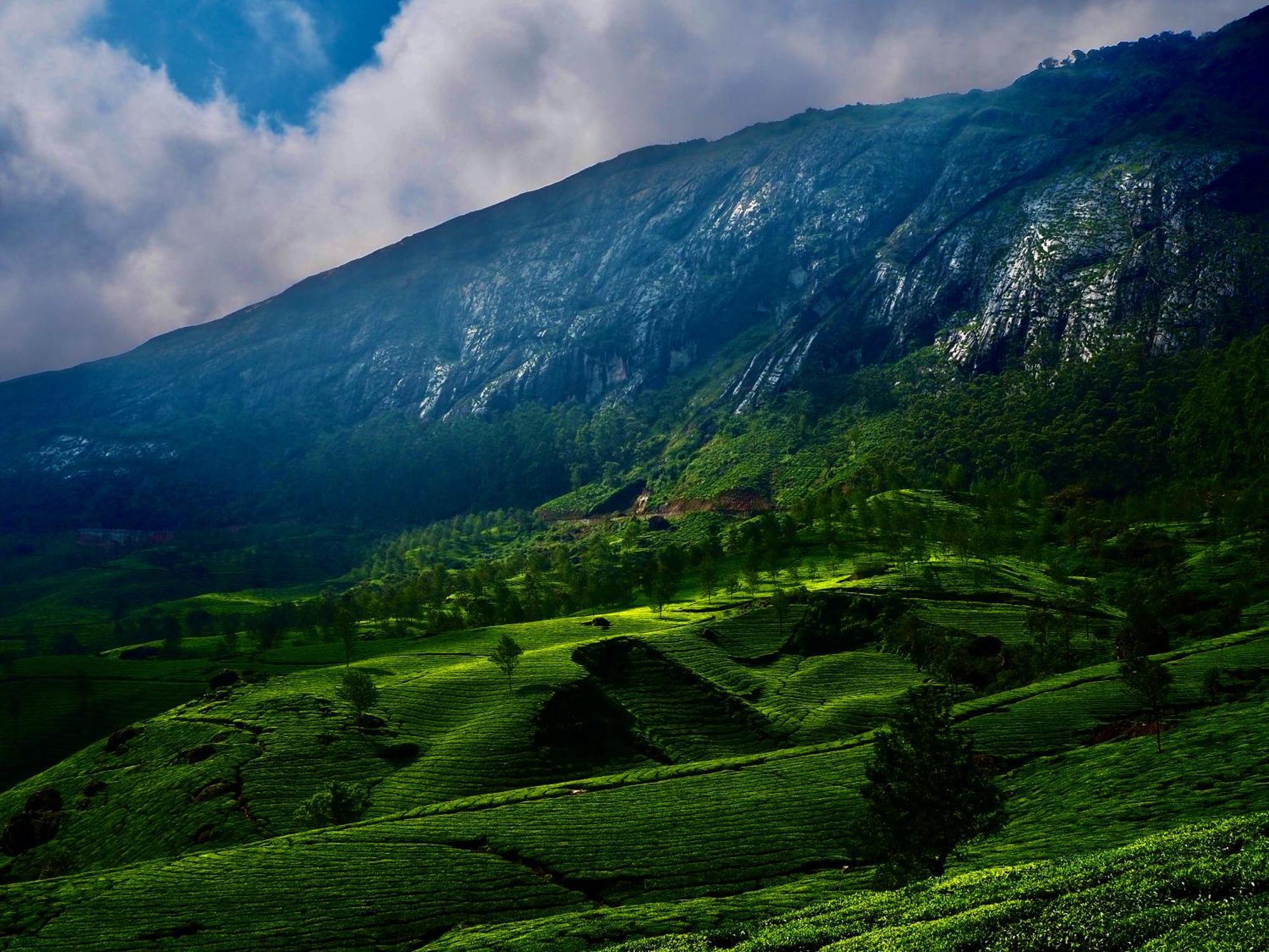 Lockhart Bungalow Munnar - A Cgh Earth Saha Experience 외부 사진